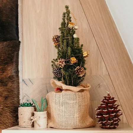 Apartment Lena - Olimpijska Kuca *